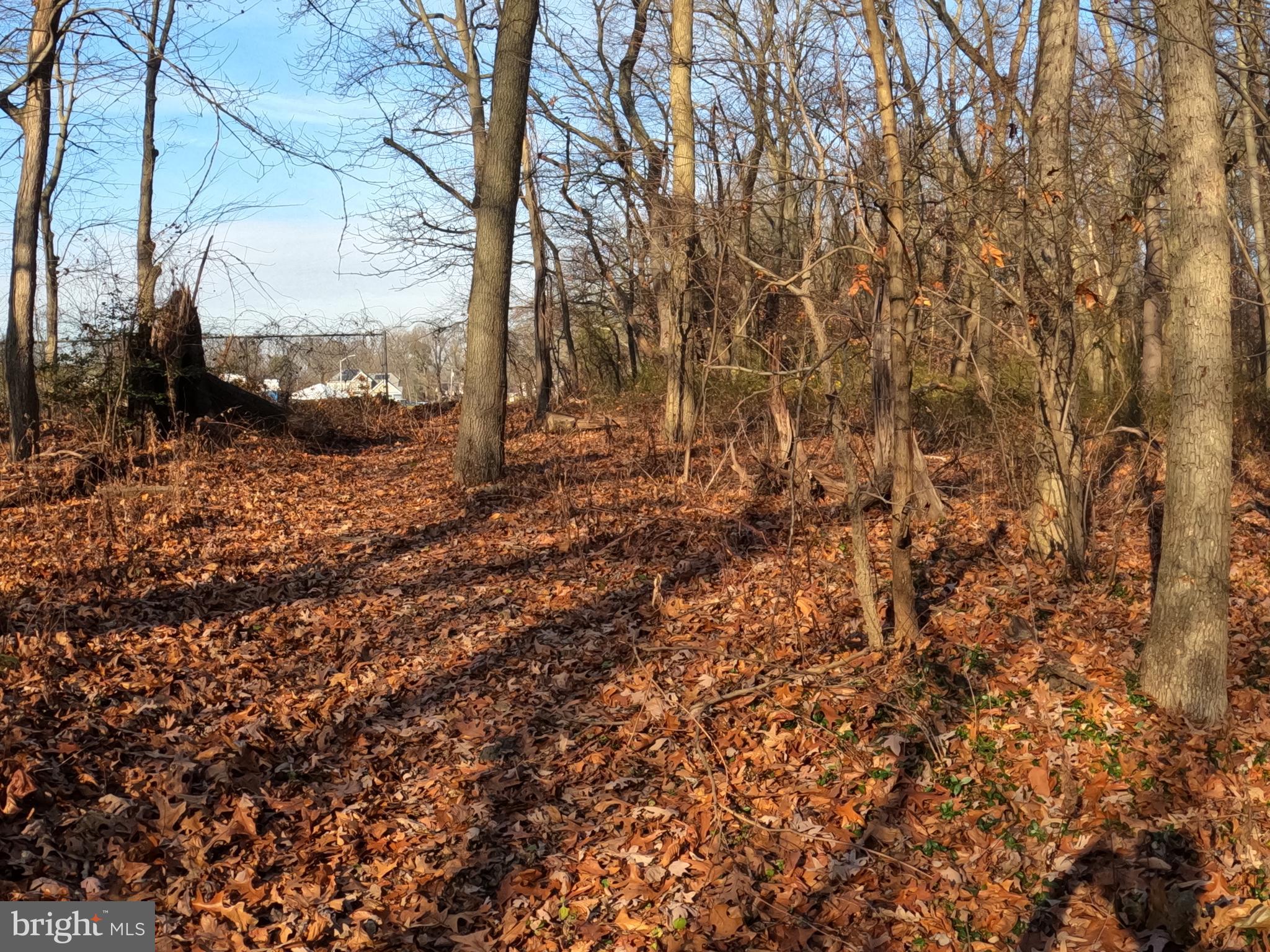 2931 Marne Highway Mount Laurel, NJ 08054 - Photo 42 of 47