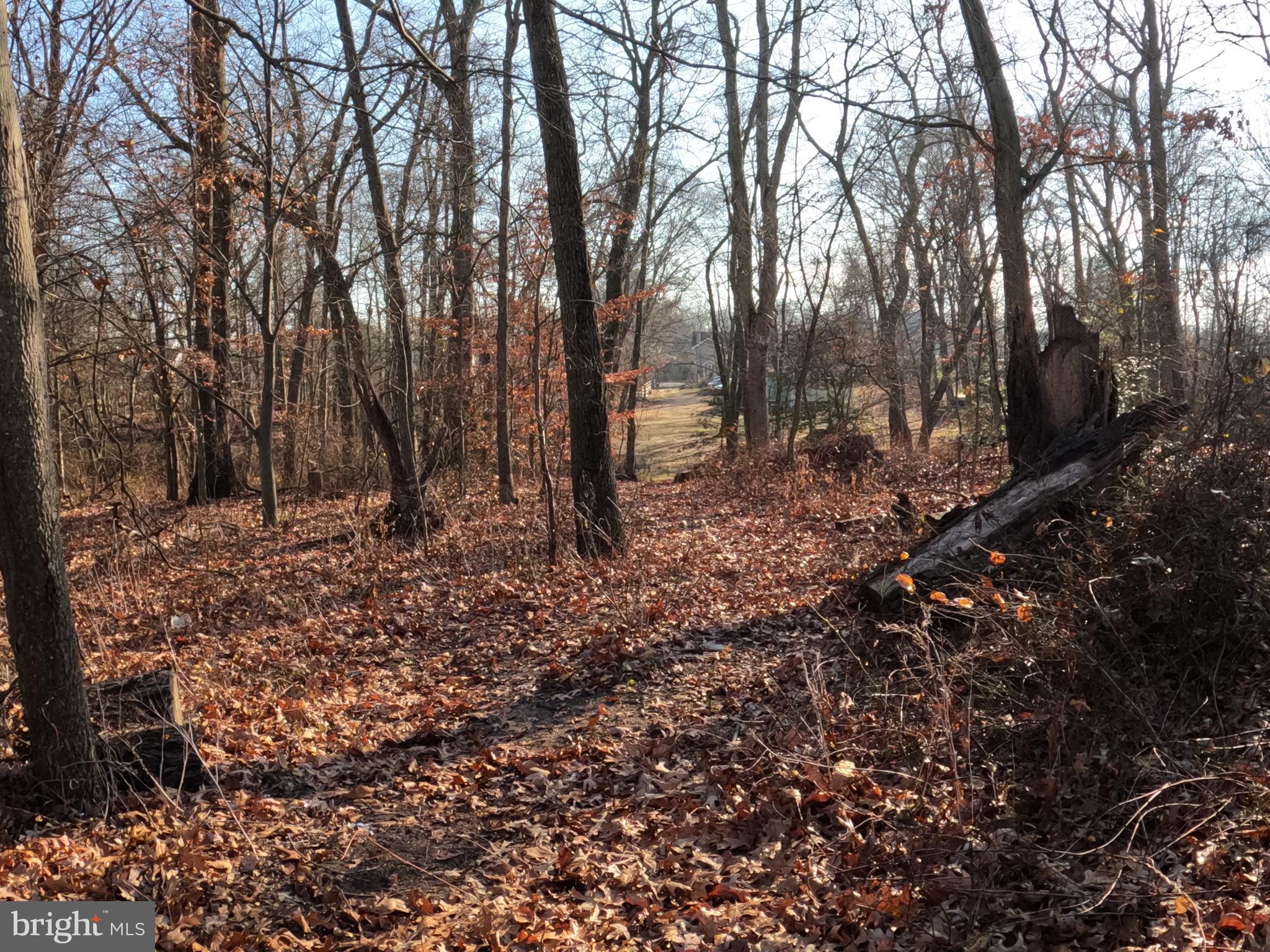 2931 Marne Highway Mount Laurel, NJ 08054 - Photo 46 of 47