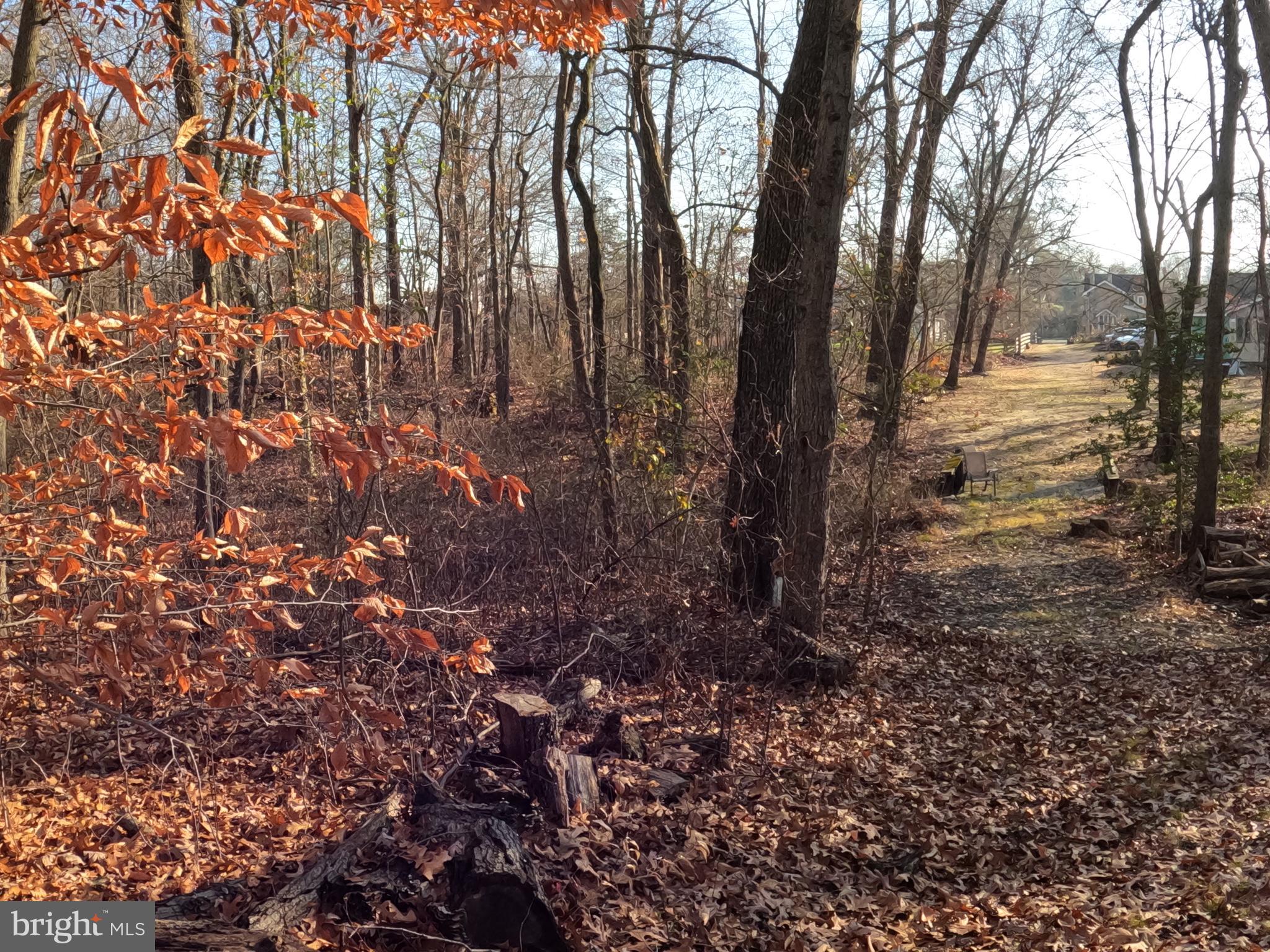 2931 Marne Highway Mount Laurel, NJ 08054 - Photo 47 of 47