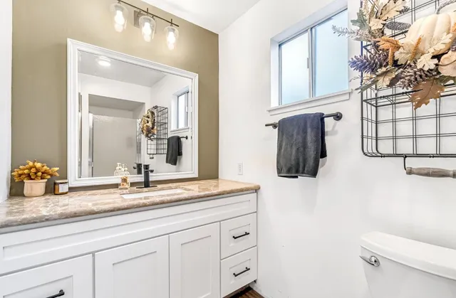 a bathroom with a sink a toilet and mirror