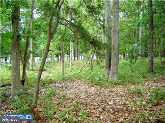 244 Mist Road Millville, NJ 08332 - Photo 3 of 11 Gallery Image 3