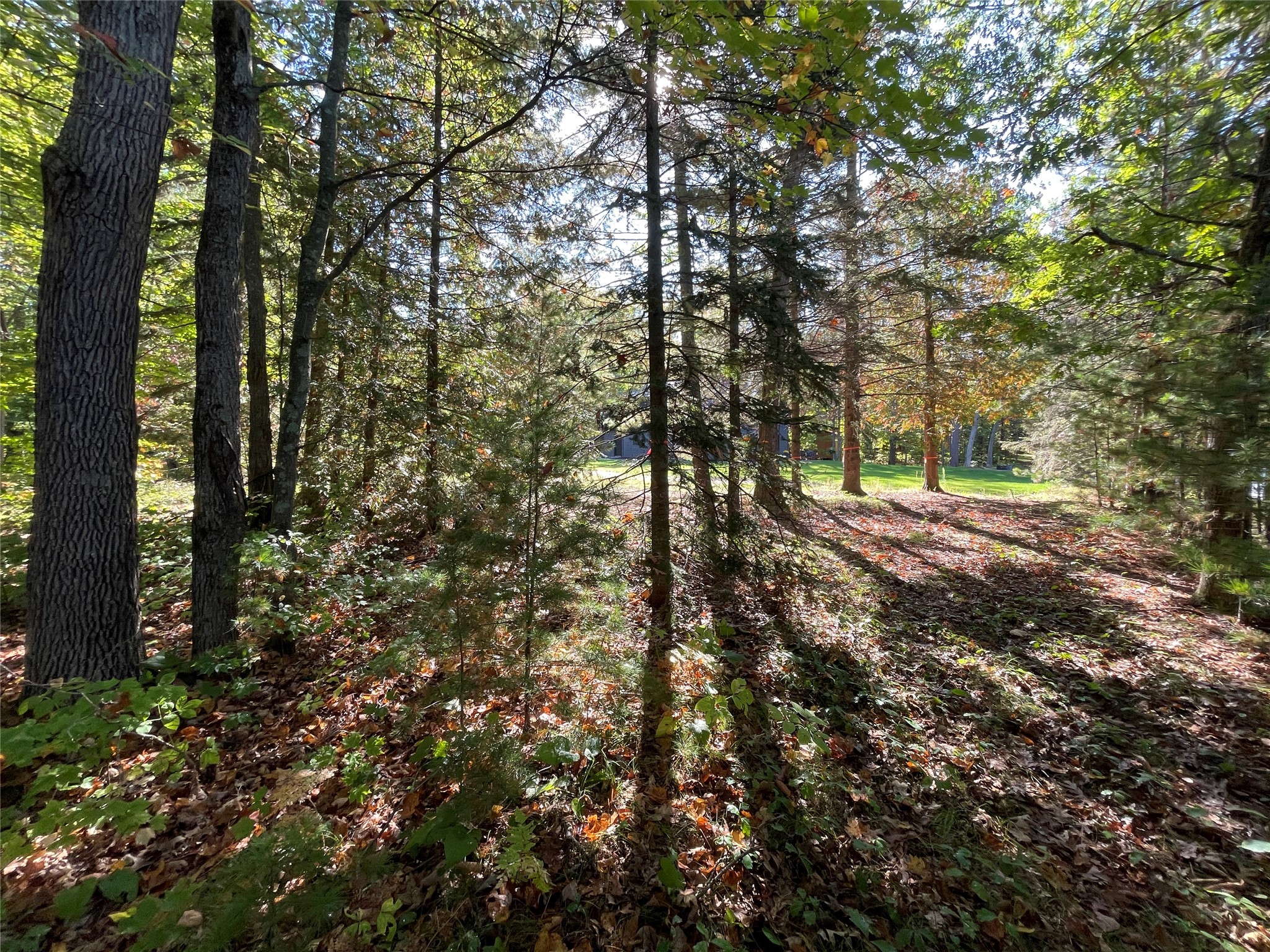 6073 North Elsie Road Stone Lake, WI 54876 - Photo 23 of 42
