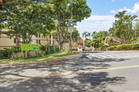 a view of a yard with plants and trees