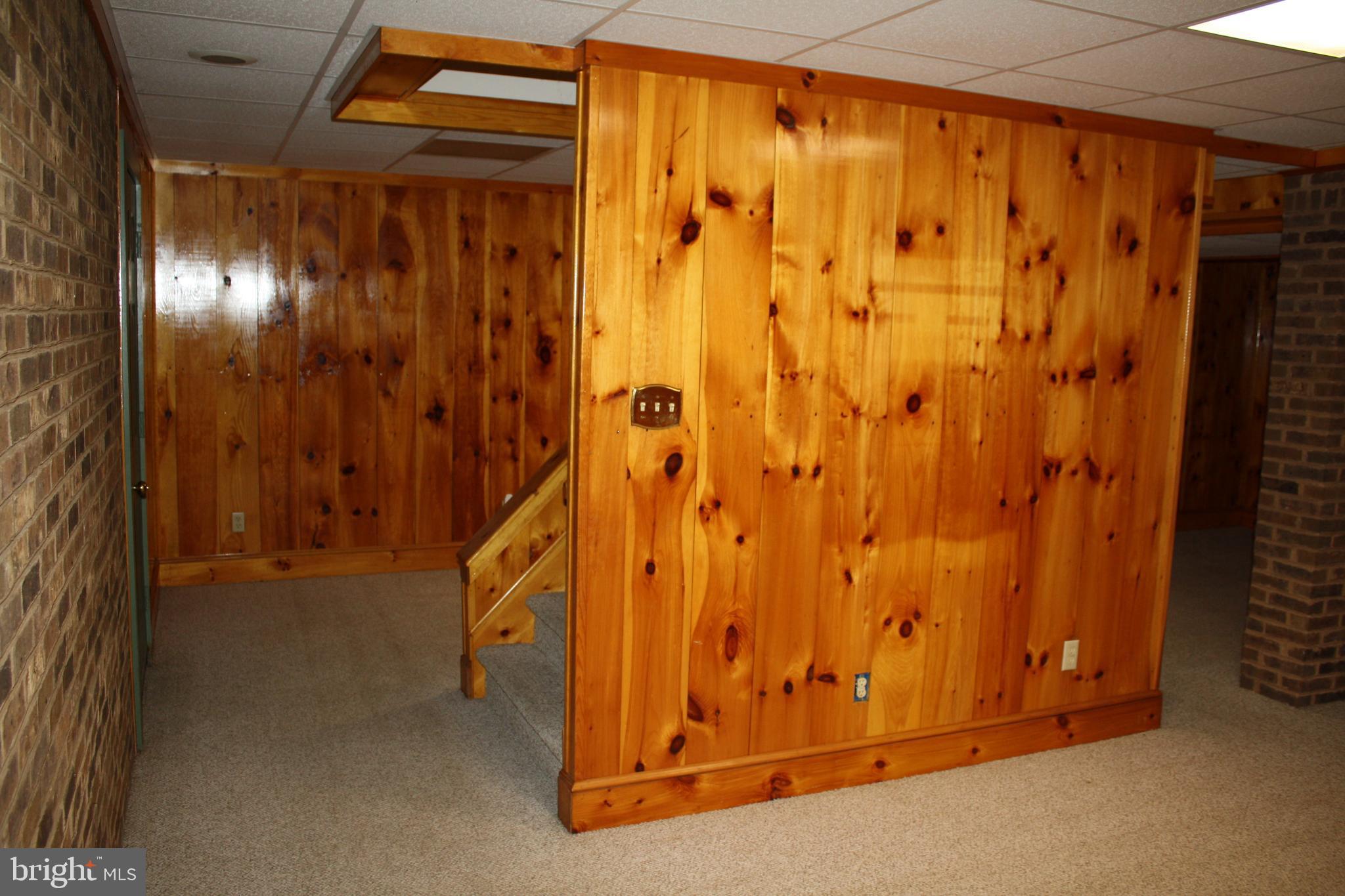 382 Beals Mill Road Bridgeton, NJ 08302 - Photo 22 of 29 Finished Basement