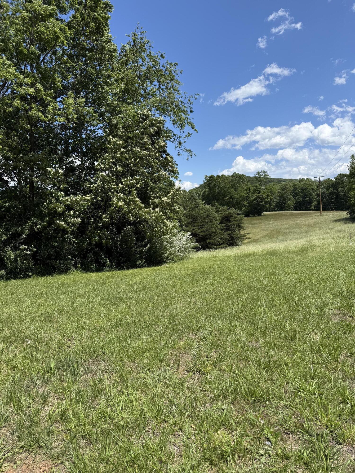 0 Goodview Road Goodview, VA 24095 - Photo 2 of 7 a view of outdoor space and yard