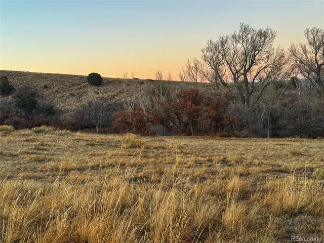 a view of a dry yard with mountains in the background
