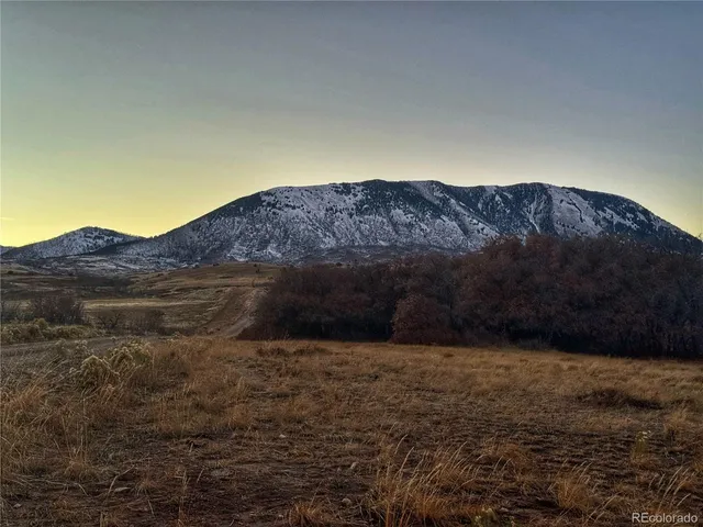 a view of a dry yard