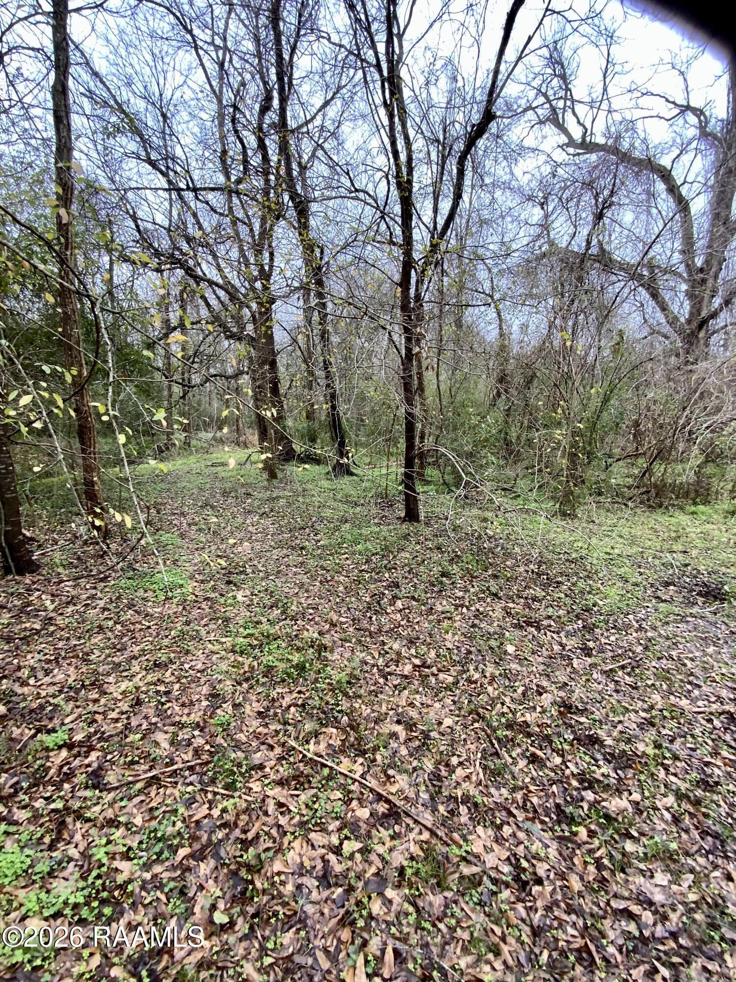 304 East Gloria Switch Road Lafayette, LA 70507 - Photo 28 of 38 IMG_2080