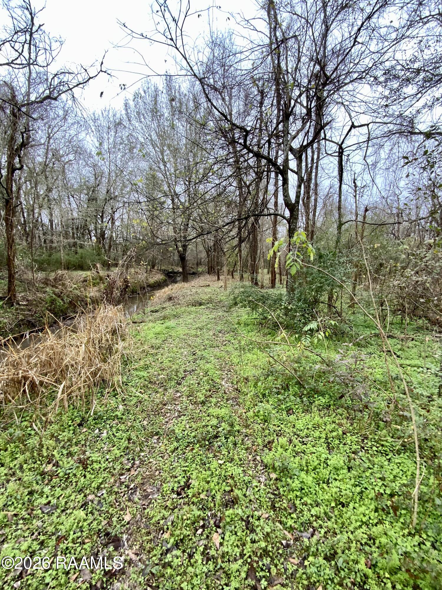 304 East Gloria Switch Road Lafayette, LA 70507 - Photo 30 of 38 IMG_2082