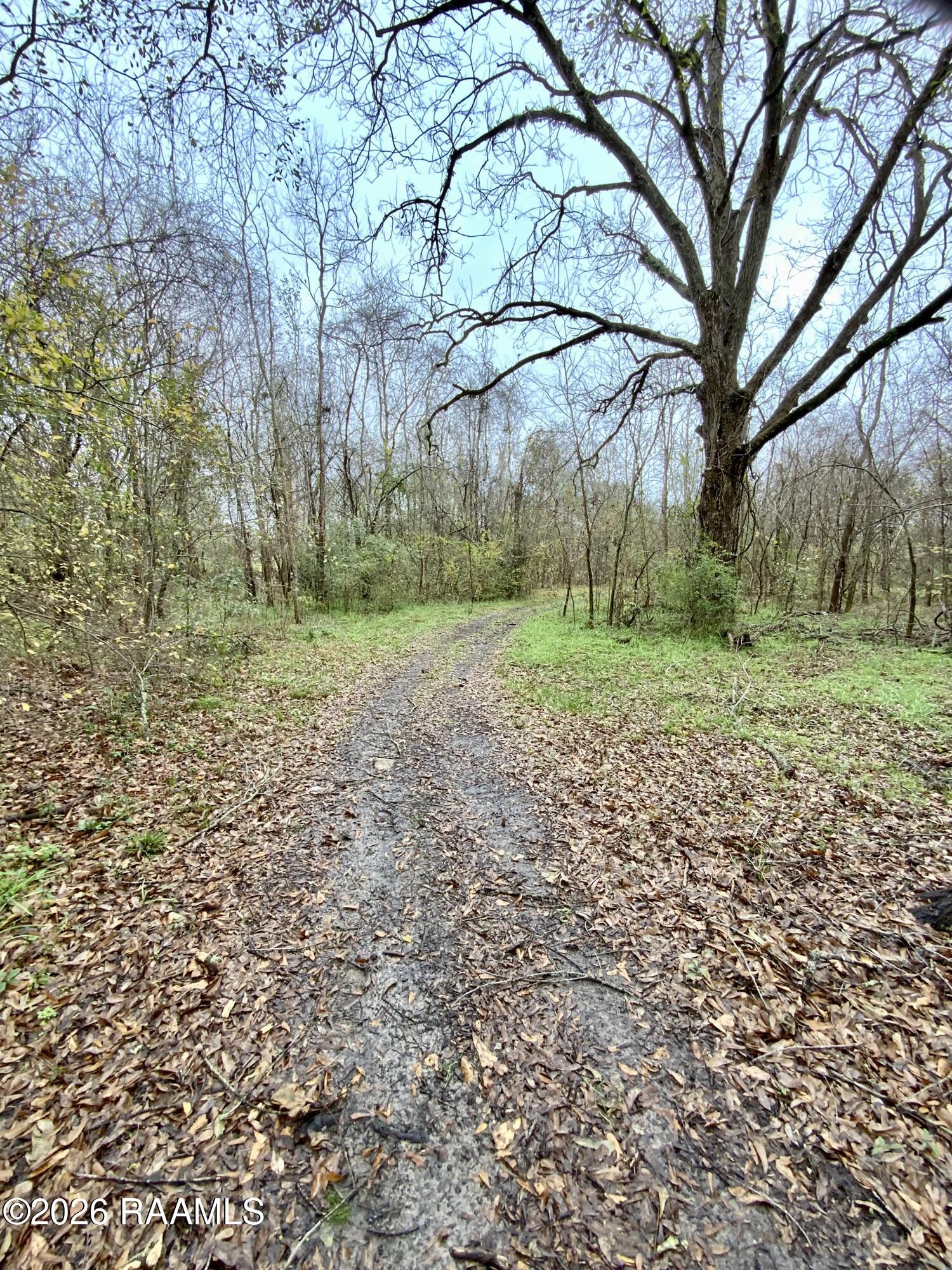 304 East Gloria Switch Road Lafayette, LA 70507 - Photo 35 of 38 IMG_2089