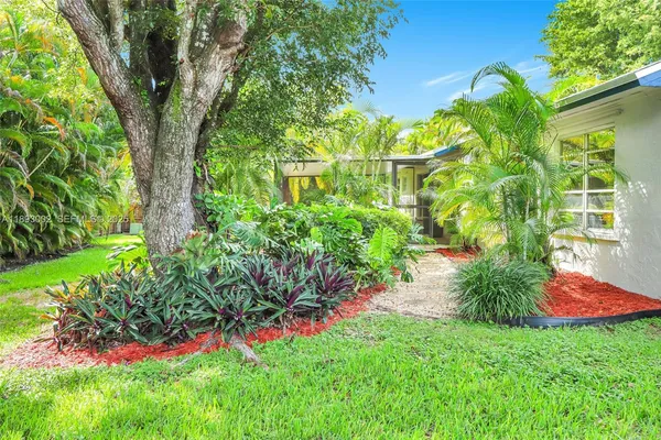 a view of a yard with plants
