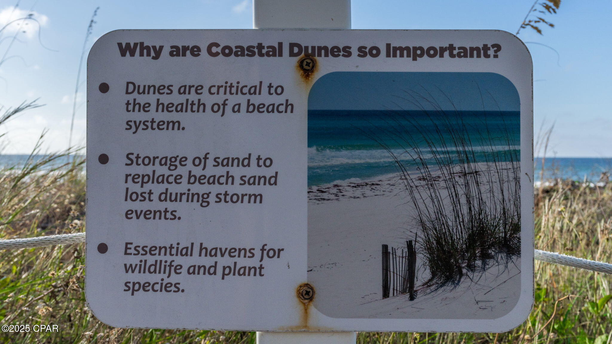 11807 Front Beach Road, Unit 1407 Panama City Beach, FL 32407 - Photo 35 of 91