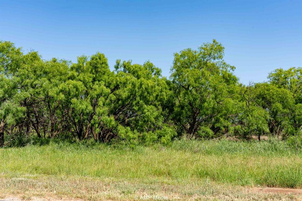 2142 Fm 2142 Hamlin, TX 79520 - Photo 11 of 21 a view of a yard