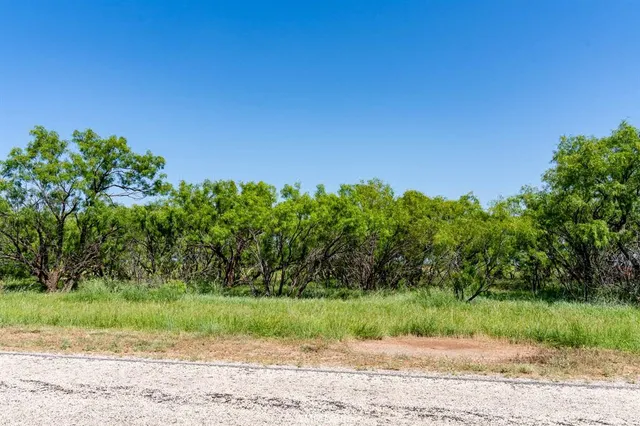 a view of a yard with a tree