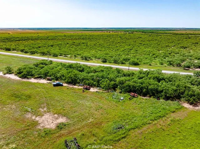 a view of a field with an ocean