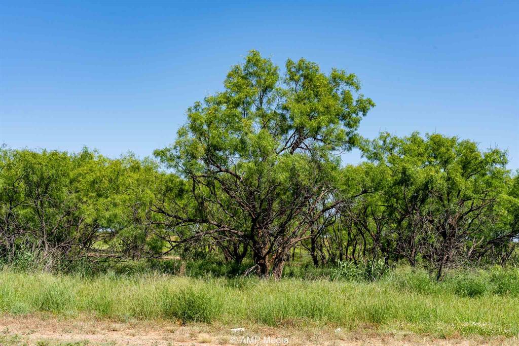 2142 Fm 2142 Hamlin, TX 79520 - Photo 2 of 21 a view of a lake with a yard
