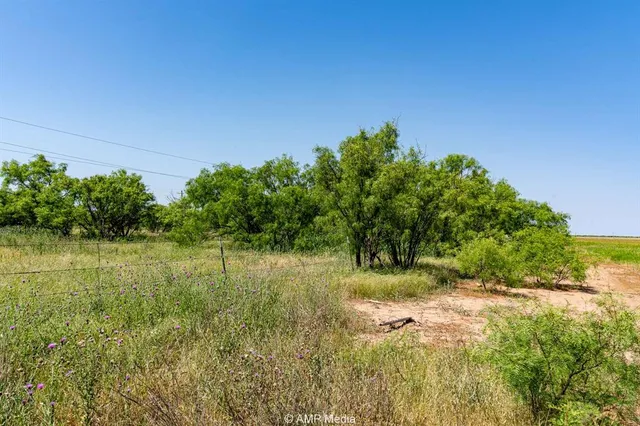 a view of a garden with a lake