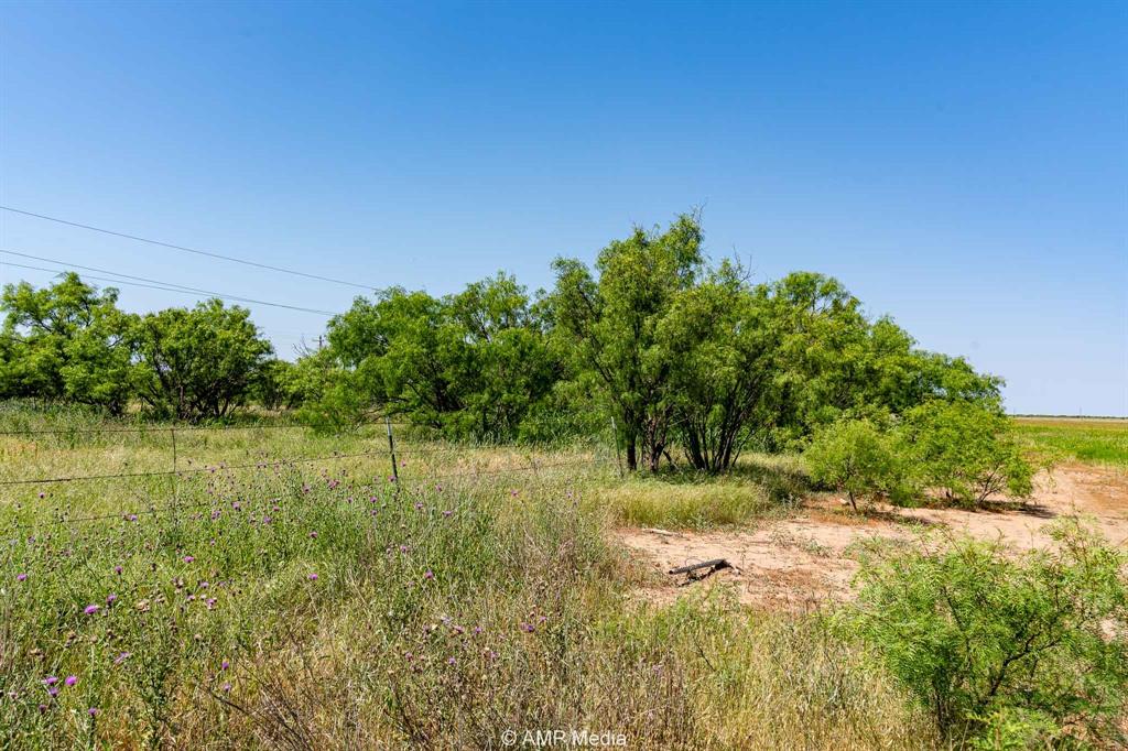 2142 Fm 2142 Hamlin, TX 79520 - Photo 6 of 21 a view of a garden with a lake