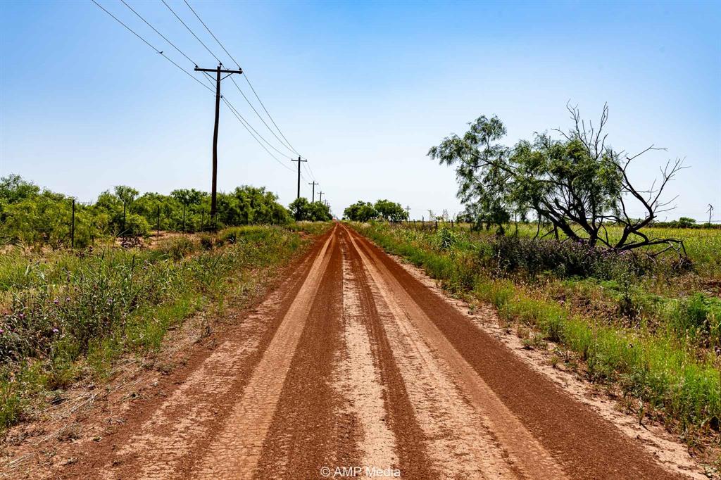 2142 Fm 2142 Hamlin, TX 79520 - Photo 8 of 21 a view of a lake with a large trees