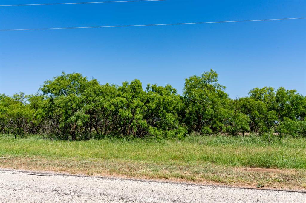 2142 Fm 2142 Hamlin, TX 79520 - Photo 10 of 21 a view of a yard
