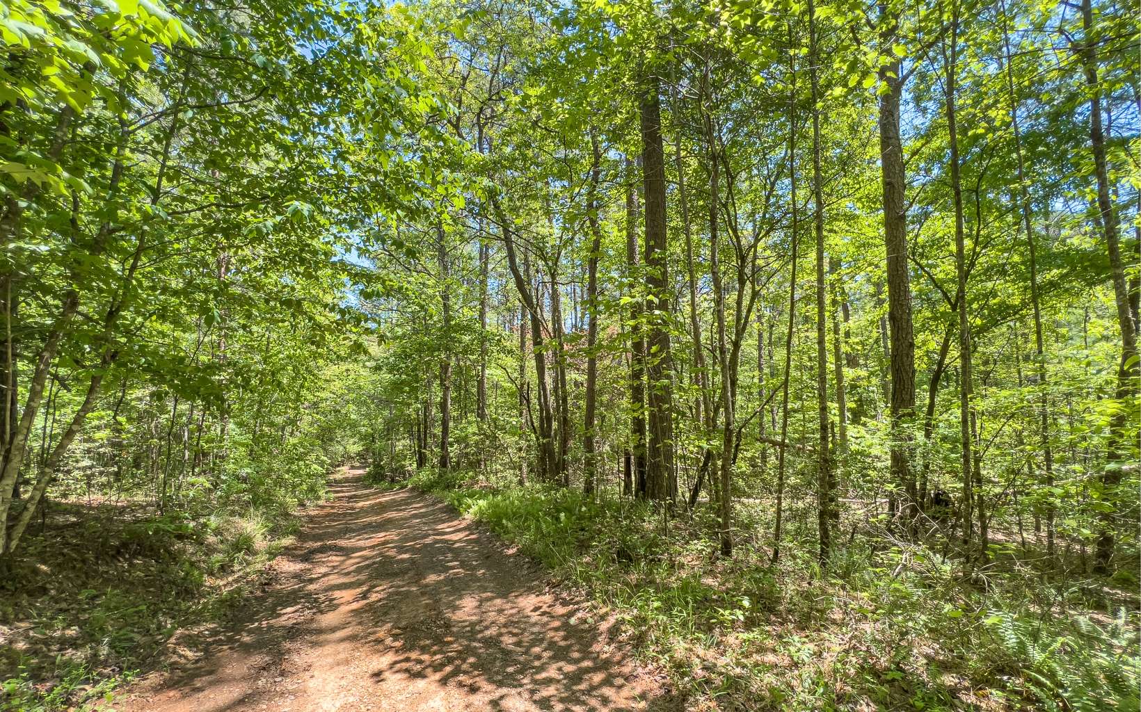 9.33 A Havanogotta Road Mineral Bluff, GA 30559 - Photo 22 of 48 Additional View