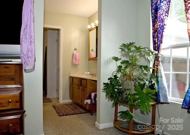 a potted plant sitting in front of a door