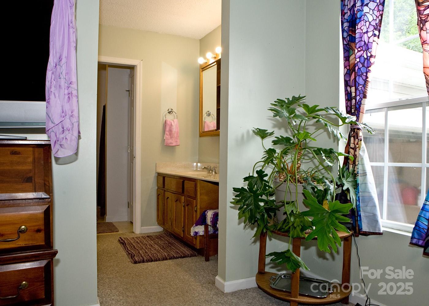 165 Peepeye Cove Road Leicester, NC 28748 - Photo 15 of 24 a potted plant sitting in front of a door