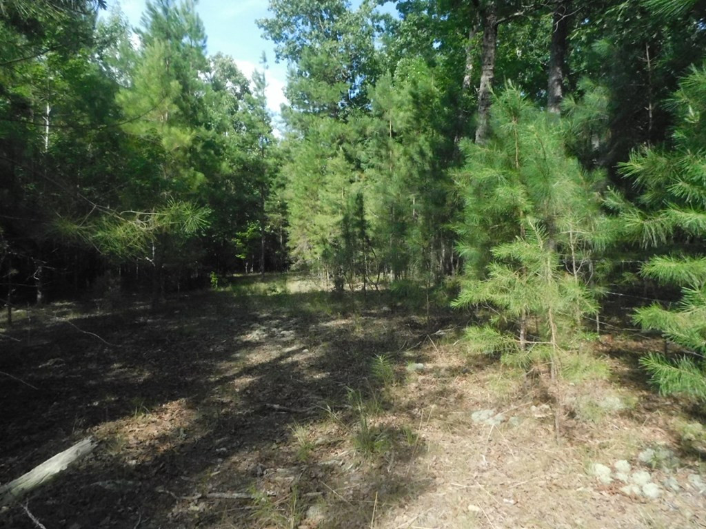 0 White Oak Road Lincolnton, GA 30817 - Photo 4 of 4