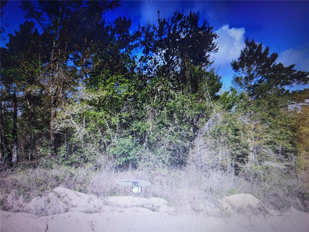 Grey Interlachen, FL 32148 - Photo 1 of 1 a view of a yard with a tree