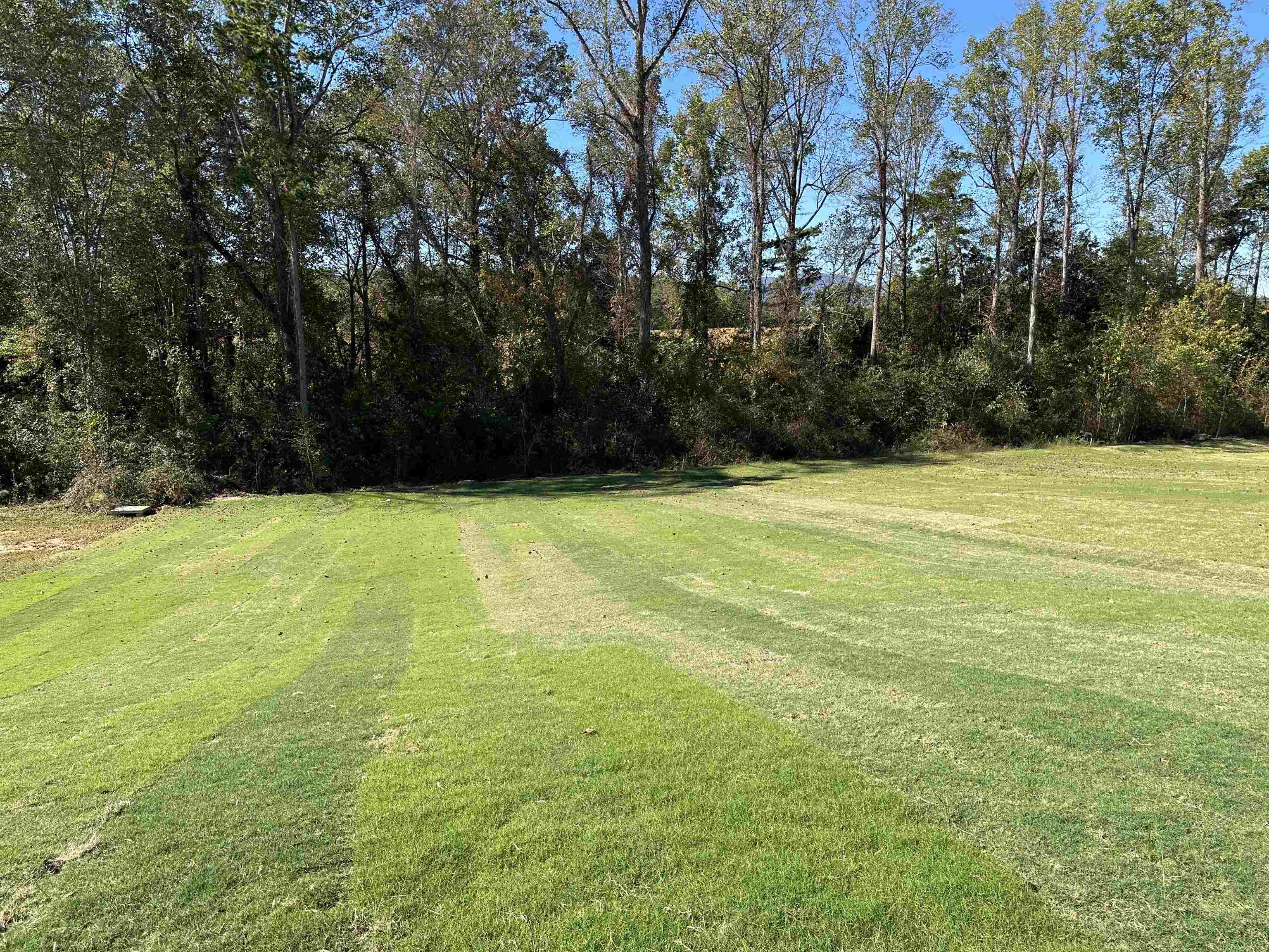 1093 Caldwell Road Campobello, SC 29322 - Photo 16 of 20