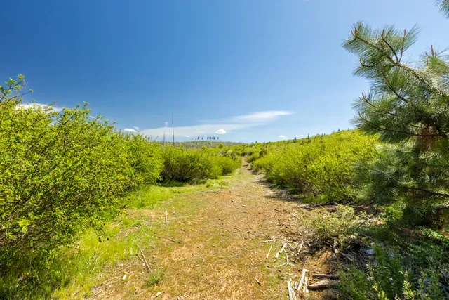 a view of an outdoor space and a yard