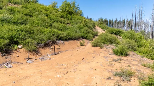 a view of a yard covered in snow
