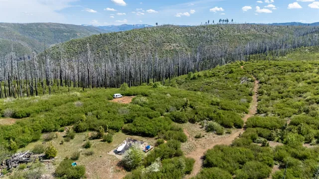 a view of a garden with a house