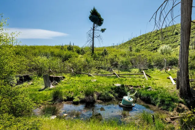 a view of a lake with a yard
