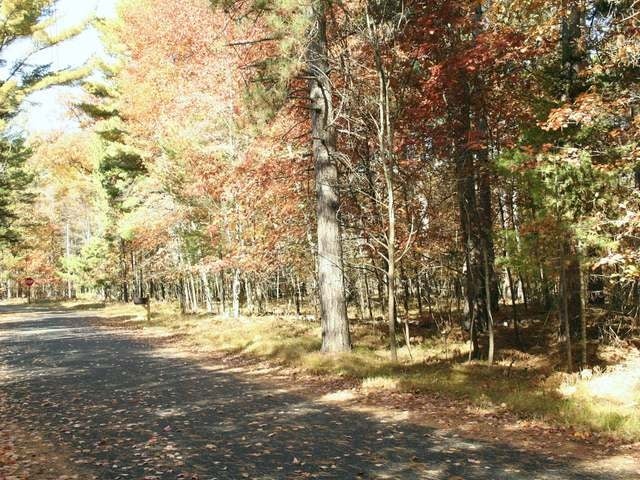 2424 Halberstadt Road St. Germain, WI 54558 - Photo 5 of 15 Gallery Image 5