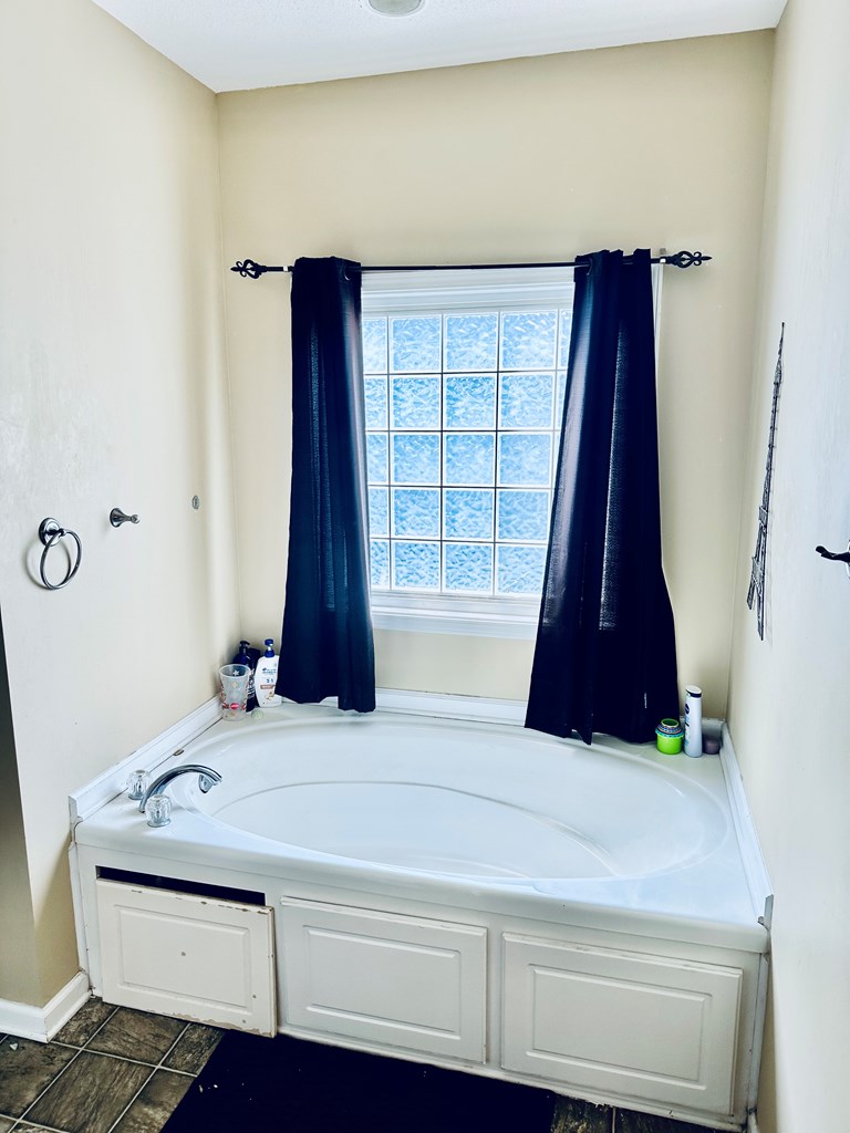 47 Miller Road Cowarts, AL 36321 - Photo 9 of 21 master tub