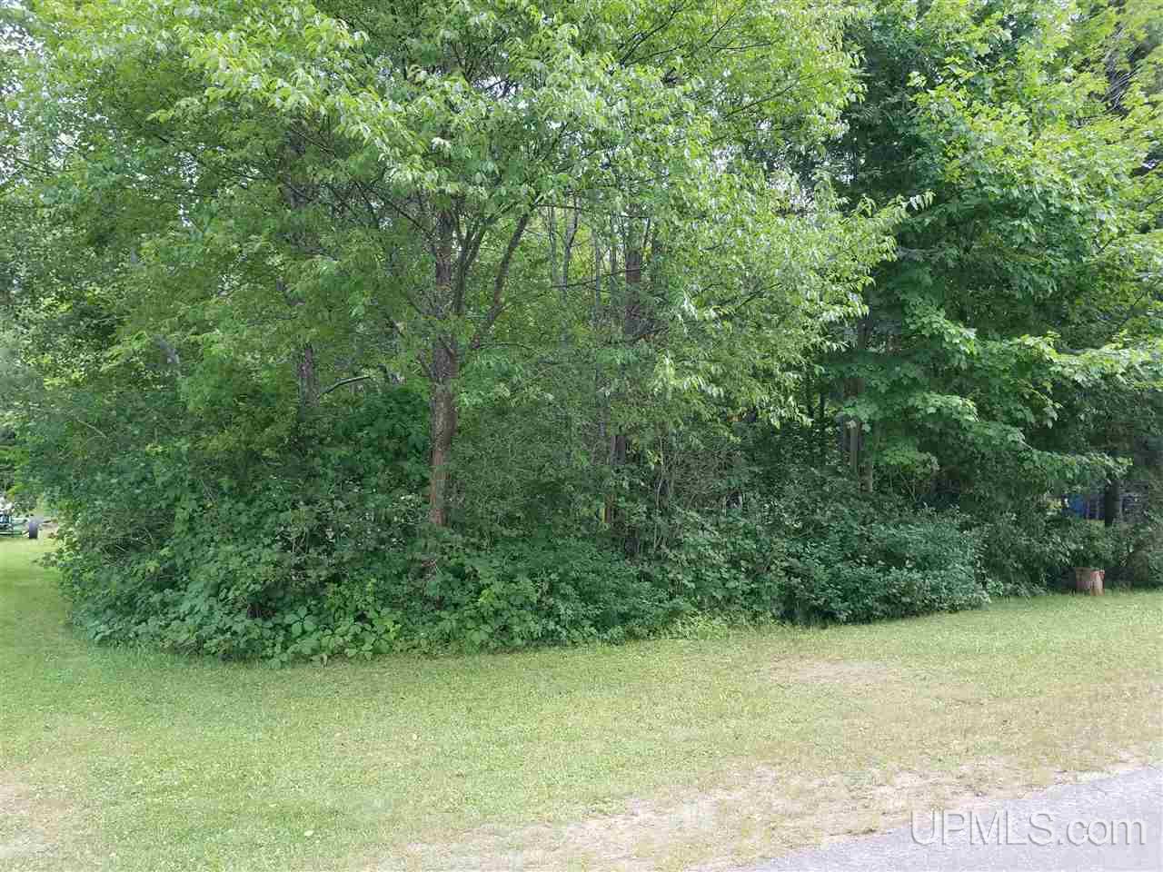21560 Beaufort Road West Michigamme, MI 49861 - Photo 14 of 14