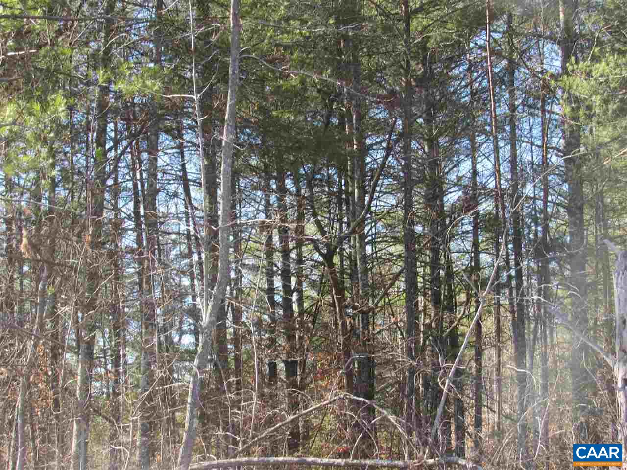 1 Cedar Creek Road Monroe, VA 24574 - Photo 5 of 7 Gallery Image 5