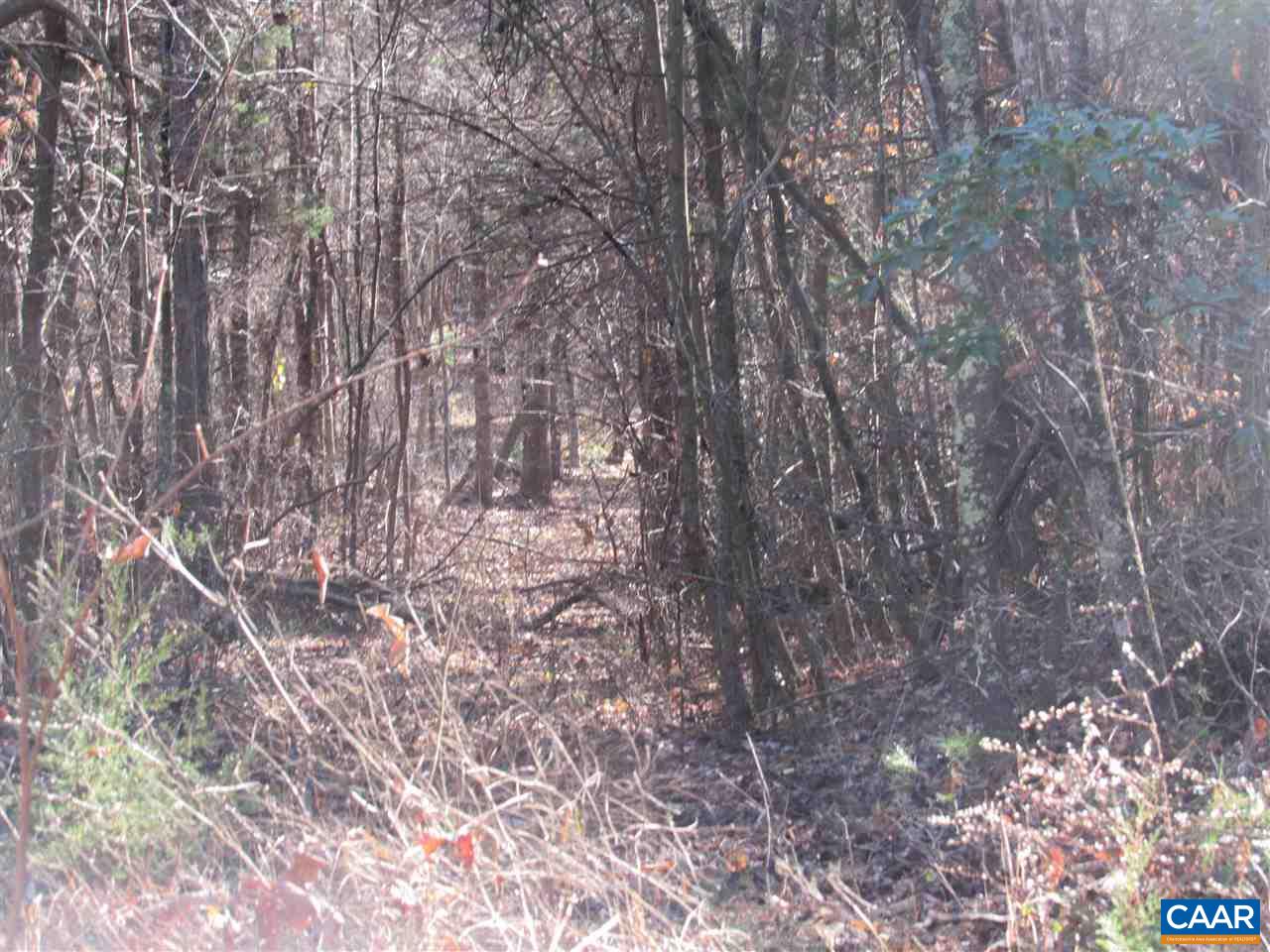 1 Cedar Creek Road Monroe, VA 24574 - Photo 7 of 7 Gallery Image 7