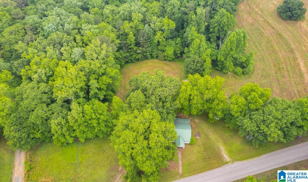 14791 County Road 10, Unit 45 ACRES Ranburne, AL 36273 - Photo 8 of 43
