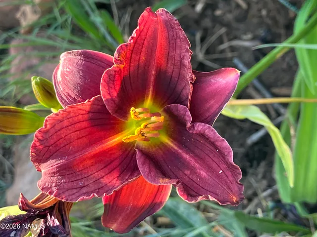 $489,500 | 4485 Wild Elk Trail, Flagstaff, AZ 86004