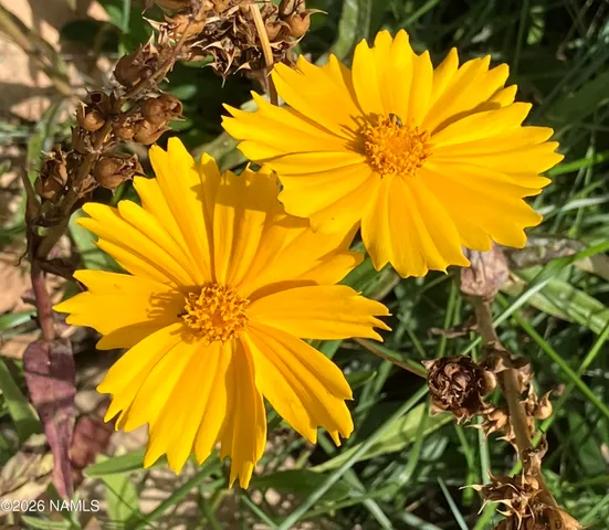 $489,500 | 4485 Wild Elk Trail, Flagstaff, AZ 86004