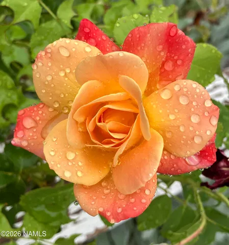 $489,500 | 4485 Wild Elk Trail, Flagstaff, AZ 86004