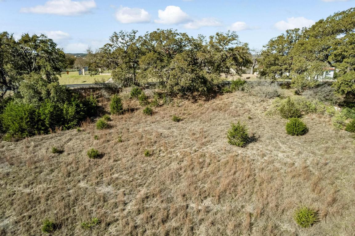 1281 Mystic Parkway Spring Branch, TX 78070 - Photo 6 of 20 a view of a field with trees in the background