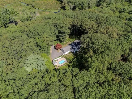 a close up of a plant in a garden