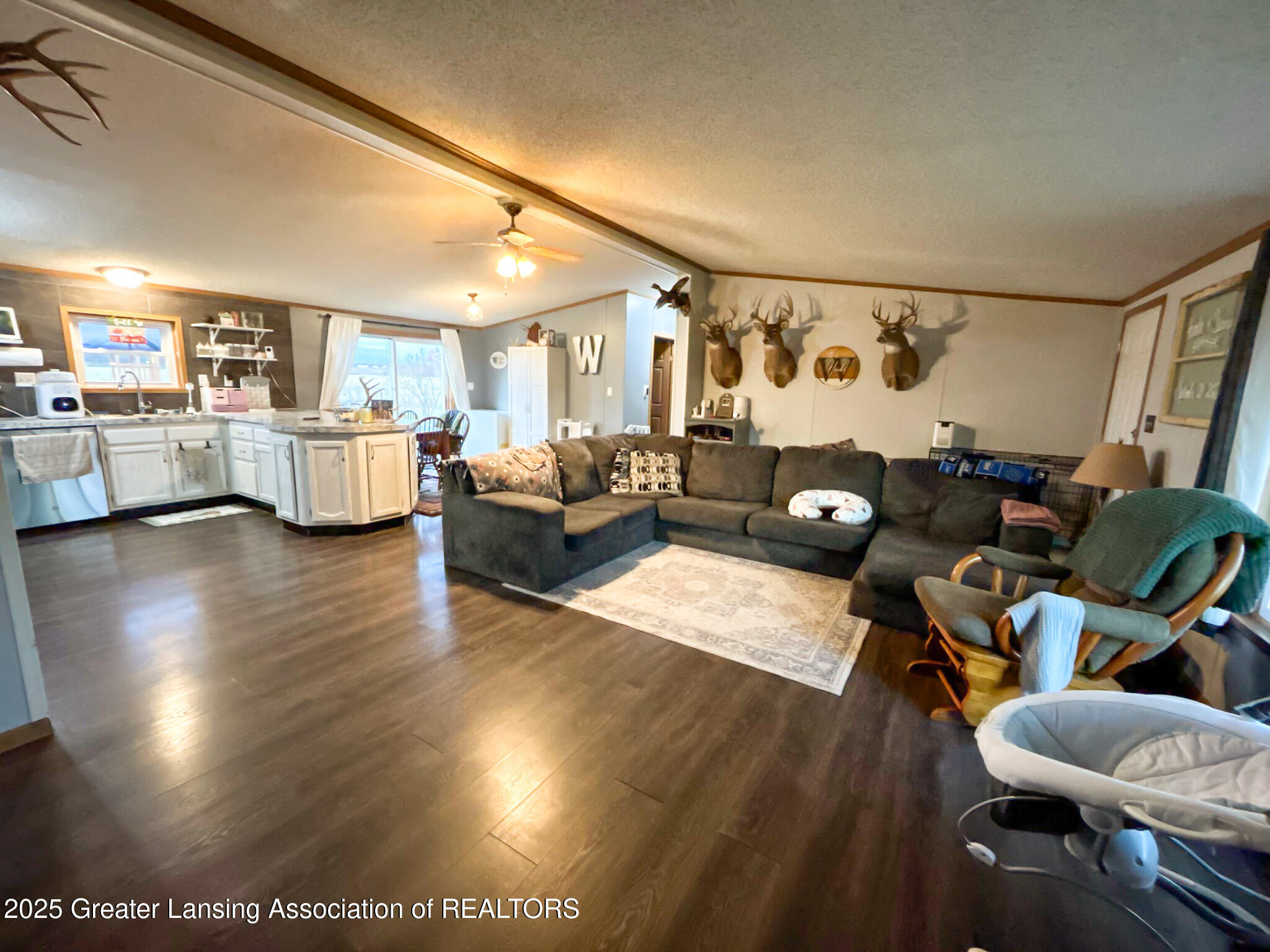 8072 Hall Road Bellevue, MI 49021 - Photo 25 of 30 IMG_5558