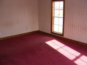 8368 Blackmer Road Carson City, MI 48811 - Photo 5 of 9 Additional Photo