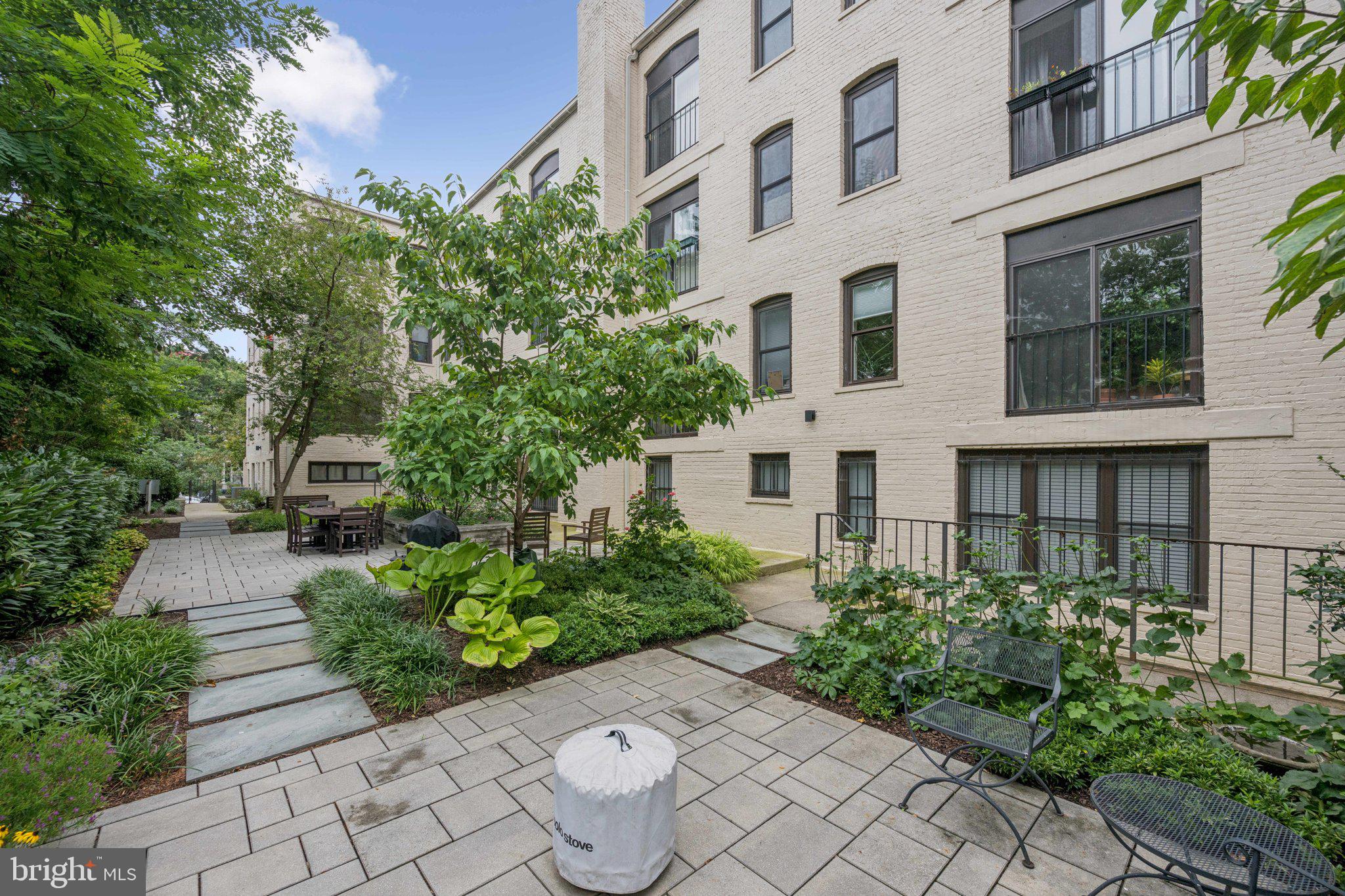 2630 Adams Mill Road Northwest, Unit 103 Washington, DC 20009 - Photo 19 of 24 a view of a garden with potted plants