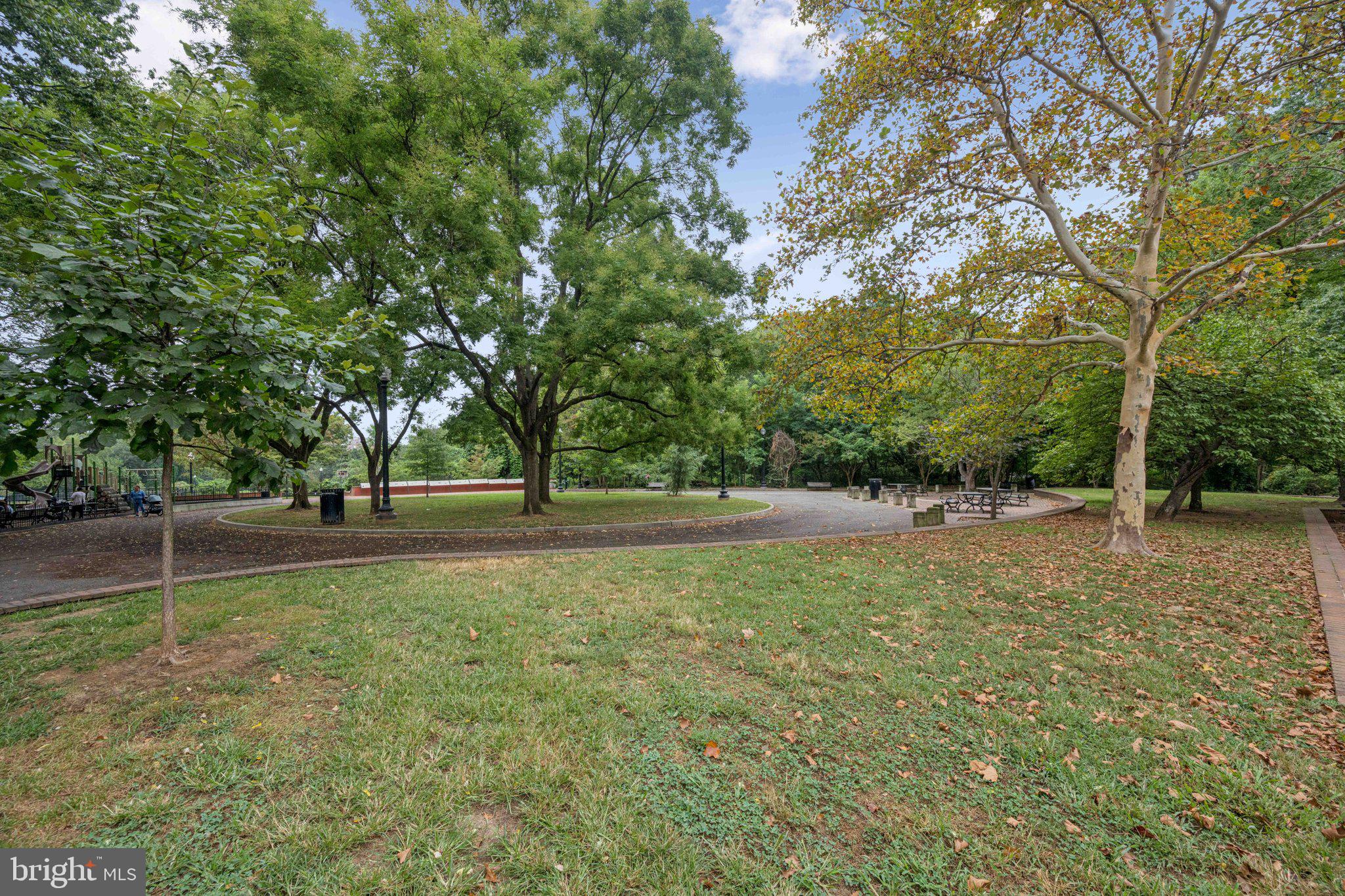 2630 Adams Mill Road Northwest, Unit 103 Washington, DC 20009 - Photo 21 of 24 a view of backyard with green space
