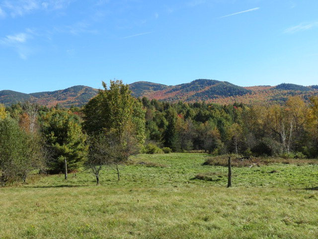 1 Stickney Bridge Road Jay, NY 12941 - Photo 2 of 9 Gallery Image 2